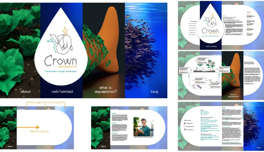 Figure 9: Crown Aquaponics (Website Layout) 