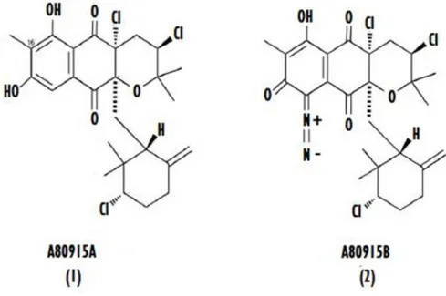 Figur  3.  Strukturer  av  två  napyradiomycin  1  och  2.  Strukturerna  skiljer  sig  åt  genom  förekomsten  av  en  diazoketongrupp  som  ökar  cellcytotoxiciteten