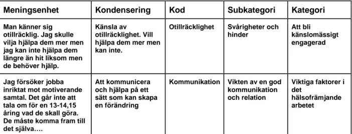 Tabell 1. Exempel på analysförfarande.