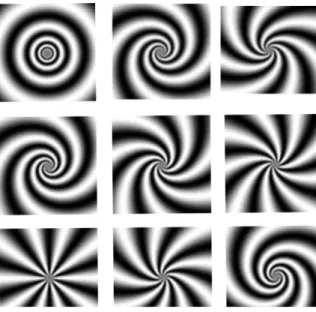 Figure 1.2. Image of printed nine log-spiral symbols. [13] 