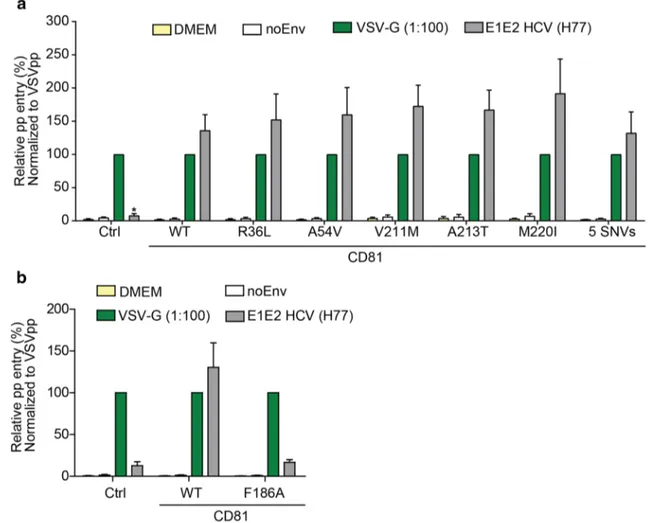 Fig. 4    hCD81 variants function as receptors for lentiviral HCV pseu- pseu-doparticles similar to WT hCD81
