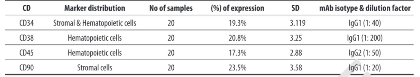 Table 1. Detection of surface markers on bone marrow derived cells (see also Figure 1).