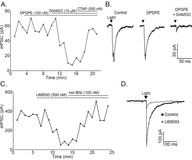 Figure 2.4. Mu and  kappa  opioid receptors  mediate inhibition of evoked release from POMC terminals