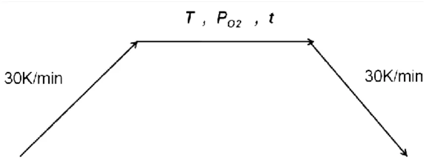 Figure 4 illustrates the heating sequence in the TGA experiment where oxygen partial pressure,  time and temperature were set as parameters