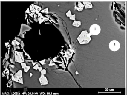 Figure 12 Samples with basicity 1.0 soaked in air, a) heating regime I.a. Overview of the microstructure: (1) spinel  grains, (2) glass phase 