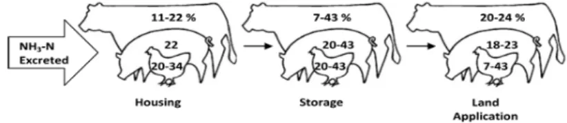 Figure 1. Depicts ammonia emissions from animal housing, manure storage and land application  (Outreach, 2005).