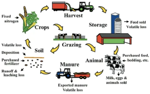 Figure 2.  Depicts the major nitrogen flows from an agricultural operation. (Rotz, n.d.)