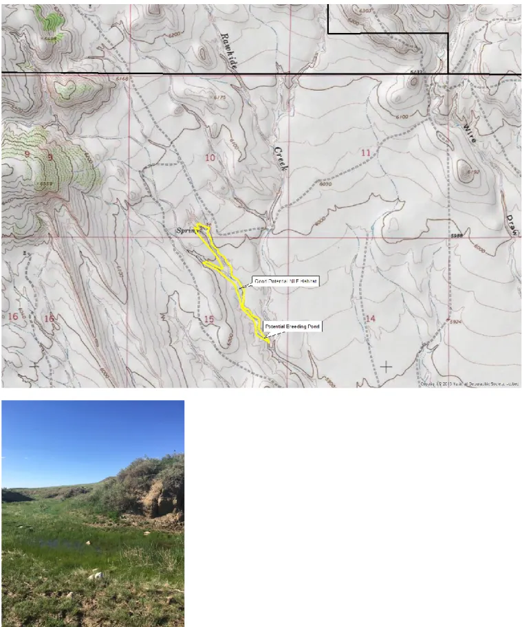 Figure 3. Rawhide Creek Site - Potential Northern Leopard Frog Habitat