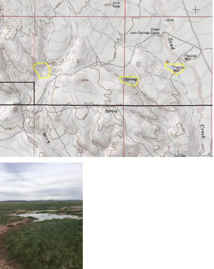 Figure 7. Upper Jack Springs Camp Sites – Chorus Frog and Woodhouse’s Toad Habitat 
