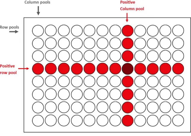 Figure 2: Secondary pooling of the individual plasma donations. The samples in each row of the 96-well microtiter plate are  pooled in row pools (R-pools) and the samples in each column are pooled in column pools (C-pools)