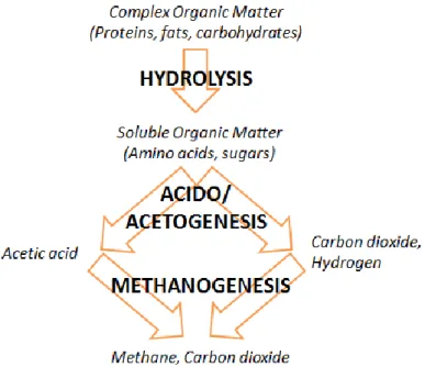 Figure 2.1 AD process flow chart 