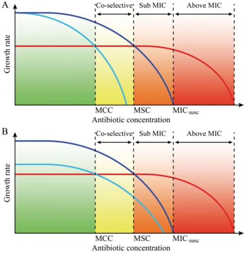 Figure 7. A theoretical overview over bacterial growth rates at increasing antibiotic  concentrations