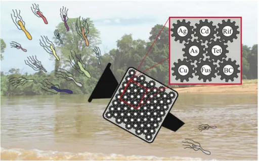 Figure 8. The complex dynamics in an environment that contain mixtures of antibi- antibi-otics, metals and antimicrobials can exert selection pressures on the bacterial  com-munity that result in reduced microbial diversity in favor of a few resistant spec