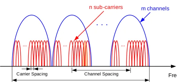 Figure 1.8: Channel and carrier definitions for Orthogonal Frequency Division Multiplexing