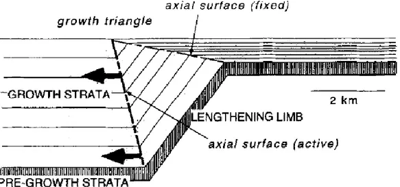 Figure 2.2 Models incorporating the two principal processes (limb lengthening and limb  rotation), which can generate growth strata