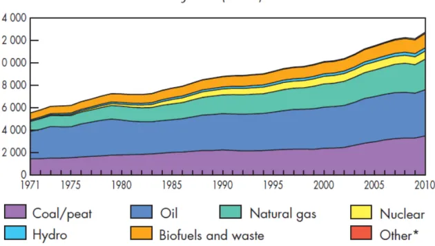 Figure 1 – World total primary energy supply 1