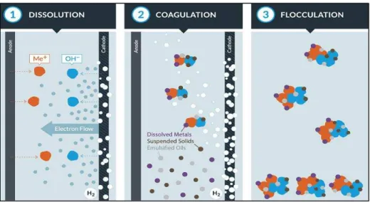 Figure 2.1: Dissolution, Coagulation, and Flocculation of Electrocoagulation Process - Copyright WaterTectonics 