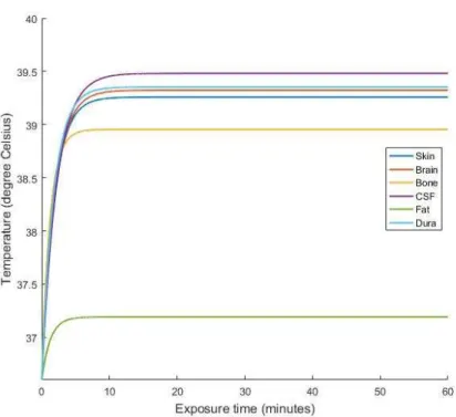 Figure 3.55: Temperature vs. Exposure time at 5.1 GHz frequency at 1 W at 0 mm head  to antenna distance