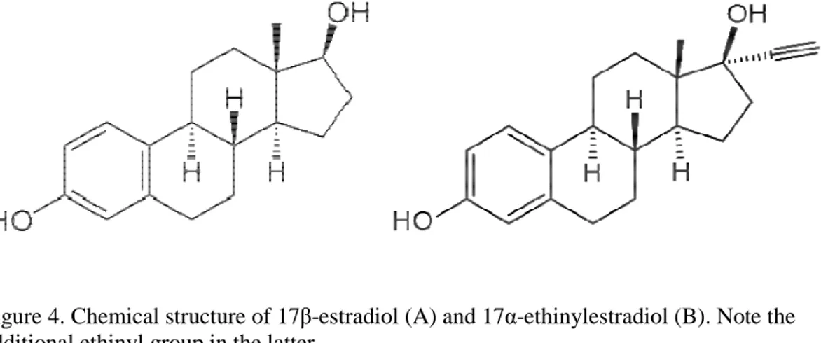 Figure 4. Chemical structure of 17β-estradiol (A) and 17α-ethinylestradiol (B). Note the  additional ethinyl group in the latter
