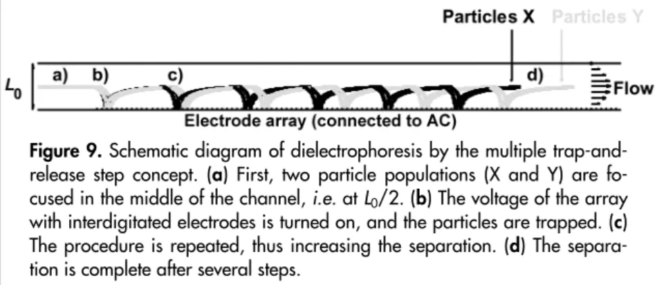 Figure 9. Schematic diagram of dielectrophoresis by the multiple trap-and- trap-and-release step concept