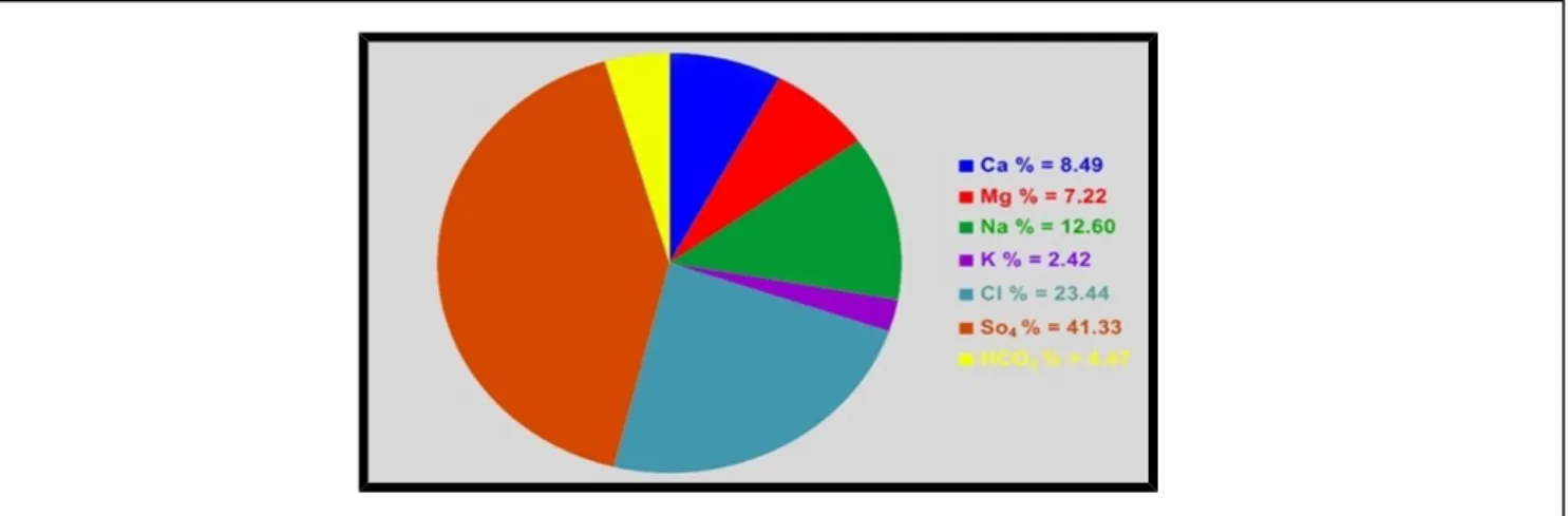Figure 3.  Average percentage of concentrations for major ions in springs.