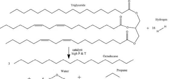 Figure 1-11. Hydrodeoxygenation of triglyceride to non-ester renewable fuels [105].  