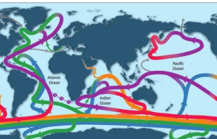 Figure 2.2: Schematic of the global overturning circulation. The different colours represent different water masses