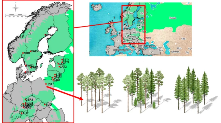 Fig. 1. Location of the Scots pine-Norway spruce triplets in Europe (top-right). Red dots are triplet locations and the green area is the overlap of the two species’ 