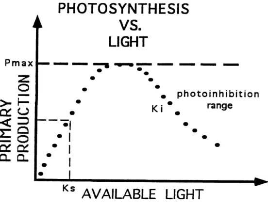Figure  1.  Generalized  Photosynthesis-Light  Curve.  For  low  values  of available  light,  the  relationship  is  nearly  linear