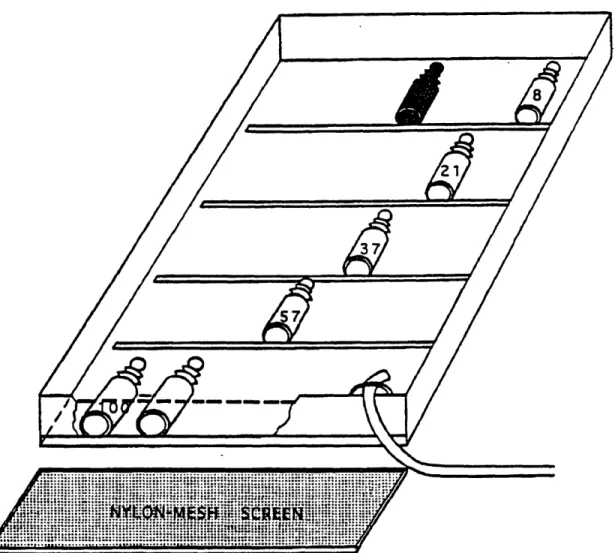 Figure  3.  Diagram  of Box Incubator  Used for Productivity Incubations.  River water,  at in situ temperatures,  flows through the hose into the incubation box;  100,  57,  37,  21,  8 are the percentages of surface light intensity as regulated by the nu
