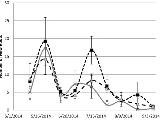 Figure 1.6- Saltgrass Net Root Counts: Points are the number of roots (both fine and coarse)   produced between each measurement date at lower depth (15cm)