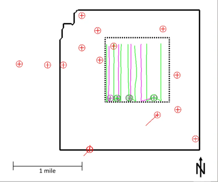 Figure 1.2: Wells of interest in Turkey Shoot (solid line), Wishbone (dashed line). Vertical wells in red, Niobrara horizontal wells in green, and Codell horizontal wells in pink.
