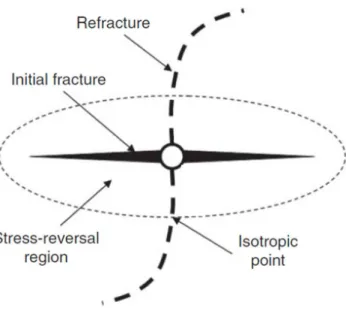 Figure 2.5: Schematic of an initial and secondary fracture from a re-fracturing effort (Roussel and Sharma, 2012).
