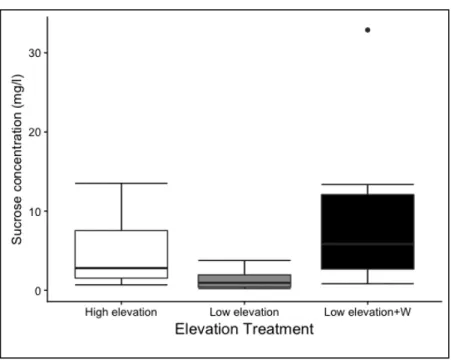 Figure 11. Effects of host phenology and drought stress on sucrose concentration in aphid 