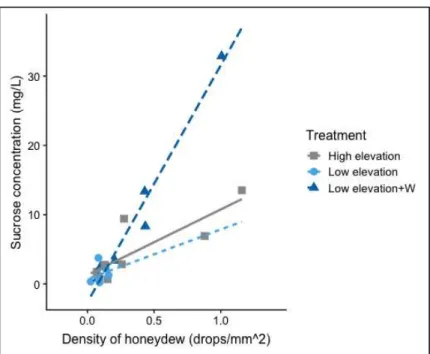 Figure 12. Relationship between sucrose concentration and density of honeydew at  different elevation and moisture treatment