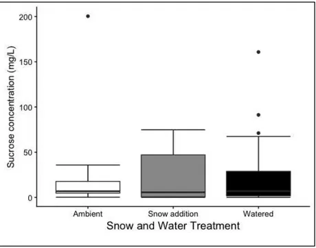 Figure 13. Effects of experimental snow and water addition on sucrose concentration in  aphid honeydew