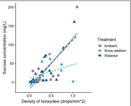 Figure 14. Relationship between sucrose concentration and density of honeydew at  different snow and water treatment