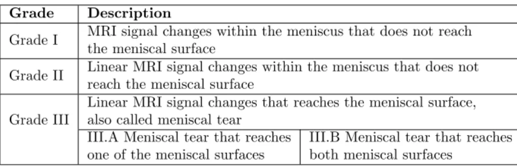 Table 2.1: Grading of meniscal lesions.
