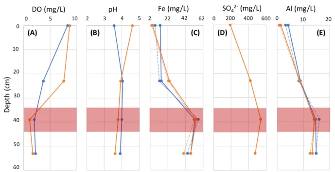 Figure 2.3: Well water chemistry data from high and low flows shown at the center of the  screened depth for the 28-, 44- and 58-cm wells: A) dissolved oxygen concentrations; B) pH  levels; C) iron concentrations; D) sulfate concentrations; E) aluminum con