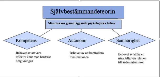 Figur 1: Människans tre grundläggande psykologiska behov inom SDT (översatt från Deci &amp; 