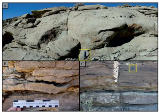 Figure 2.5: Quintuco Formation outcrops from the Sierra de la Vaca Muerta area (taken and  modified from Olivo et al., 2016)