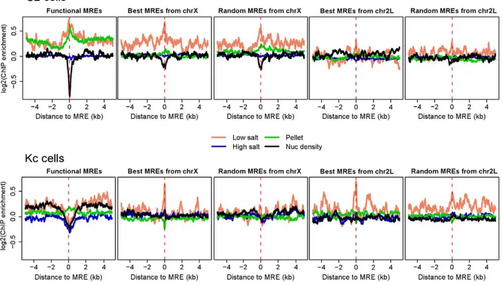 Figure 4. Increased lability of nucleosomes at chromatin entry sites correlates with MSL binding