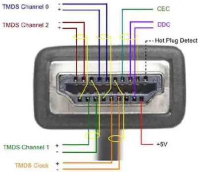 Figur 4.5: Visar hur en HDMI-kontakt ser ut, med dess pinnar. (HDMI 2010) 