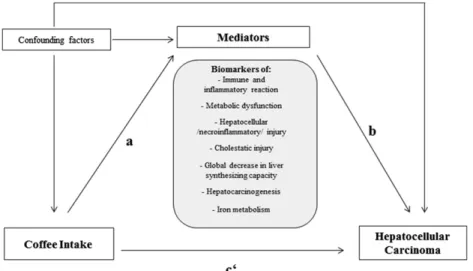 FIGURE 1 Causal diagram hypothesized for mediation and confounding, characterizing the relation between coffee intake and risk of hepatocellular carcinoma