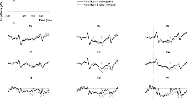 Figure 2. Grand average ERP waveforms for the conditions examining number  agreement with plural nouns: plural noun-plural adjective (grammatical), plural  noun-singular adjective (default number error)