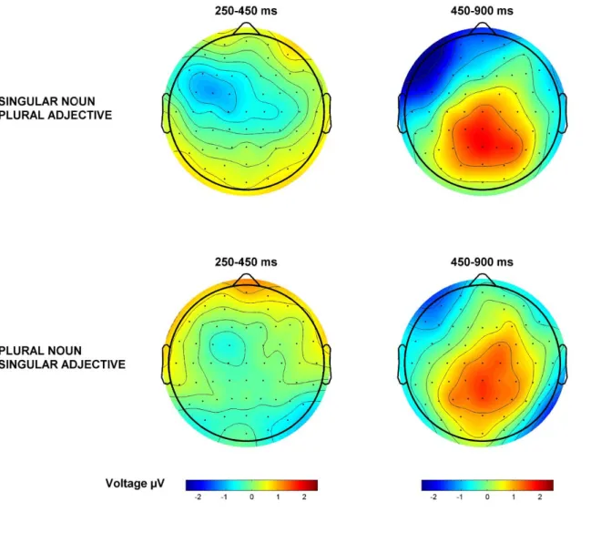 Figure 5. Topographic plots for feature clash number errors (singular noun-plural  adjective) and default number errors (plural noun-singular adjective) in the 250-450ms  and 450-900ms time windows