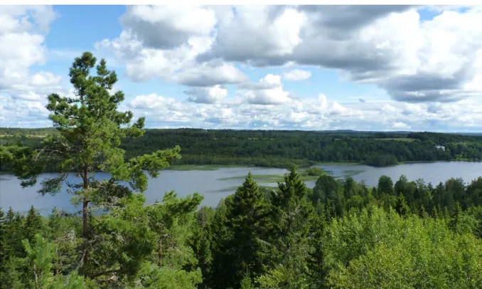 Figur 7. Omgivningarna runt Noen domineras av barrskog, lövskog och jordbruksmark. 