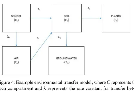 Figure 4: Example environmental transfer model, where C represents the total activity of a contaminant in  each compartment and λ represents the rate constant for transfer between compartments
