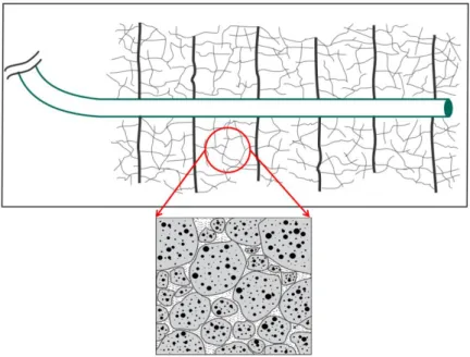 Figure 1.2: An idealized schematic of multi-stage hydraulic fracturing in unconventional reservoirs  Presence of fractures in petroleum reservoirs requires techniques to characterize flow in fractured  reservoirs