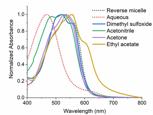 Figure 4.6: Comparison of spectra of 40 µM Zincon 2-  in w 0  = 30 AOT reverse micelles, aqueous buffered  solution, with Zincon 1-  (COOH protonated in organic solvent) in dimethyl sulfoxide (DMSO), acetonitrile,  acetone, and ethyl acetate